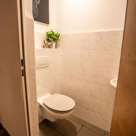 Tiroler Alpblick Апартаменты *