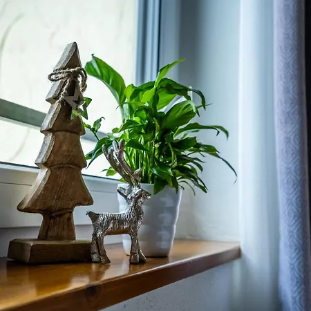 Apartamento Tiroler Alpblick Ehrwald