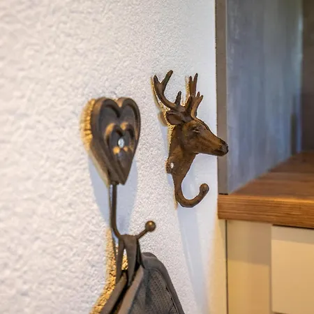Apartmán Tiroler Alpblick