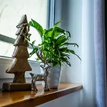 Apartament Tiroler Alpblick Ehrwald